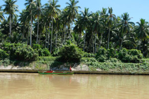 Philippinen, Indigene, Entwicklung