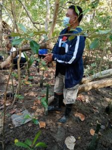 Philippinen, Indigene, Entwicklung