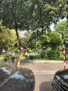 Vietnam, Zivilgesellschaft, Umweltschutz