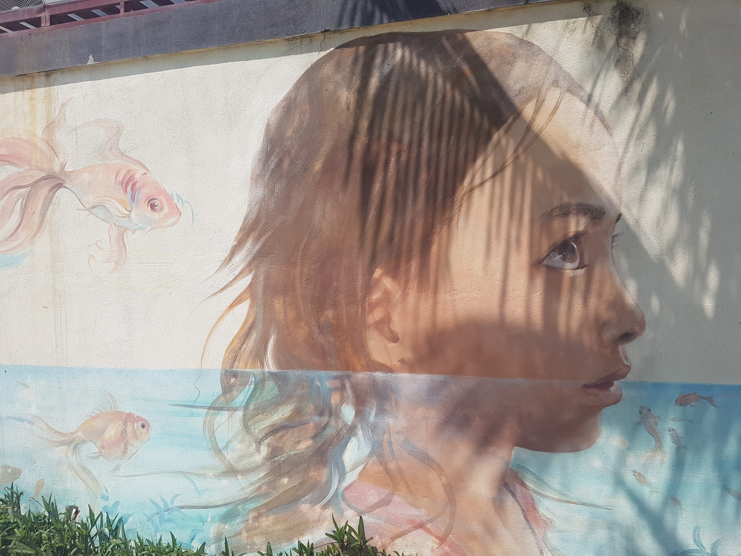 Vietnam, Zivilgesellschaft, Umweltschutz