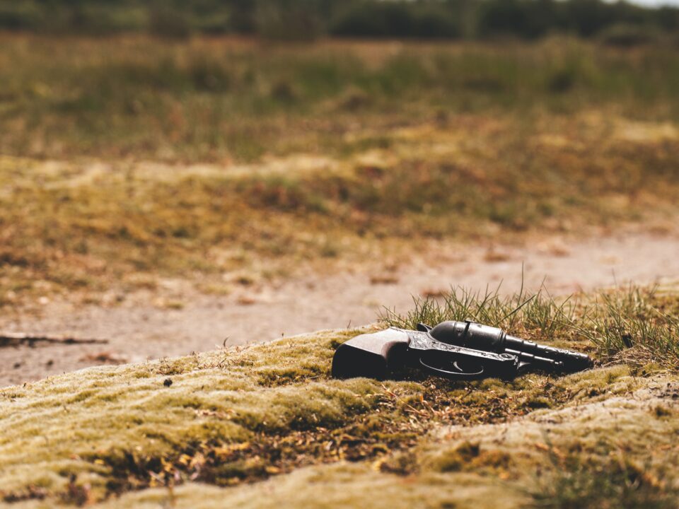 Echos der Stille, Rezension, Malaysia