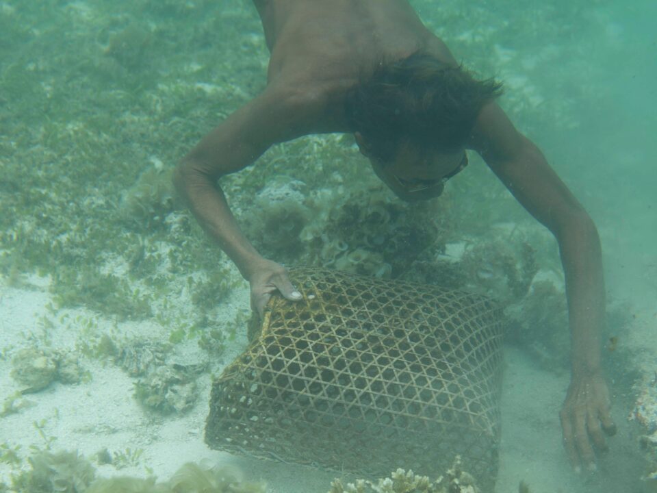 Philippinen, Tauchen, Tourismus