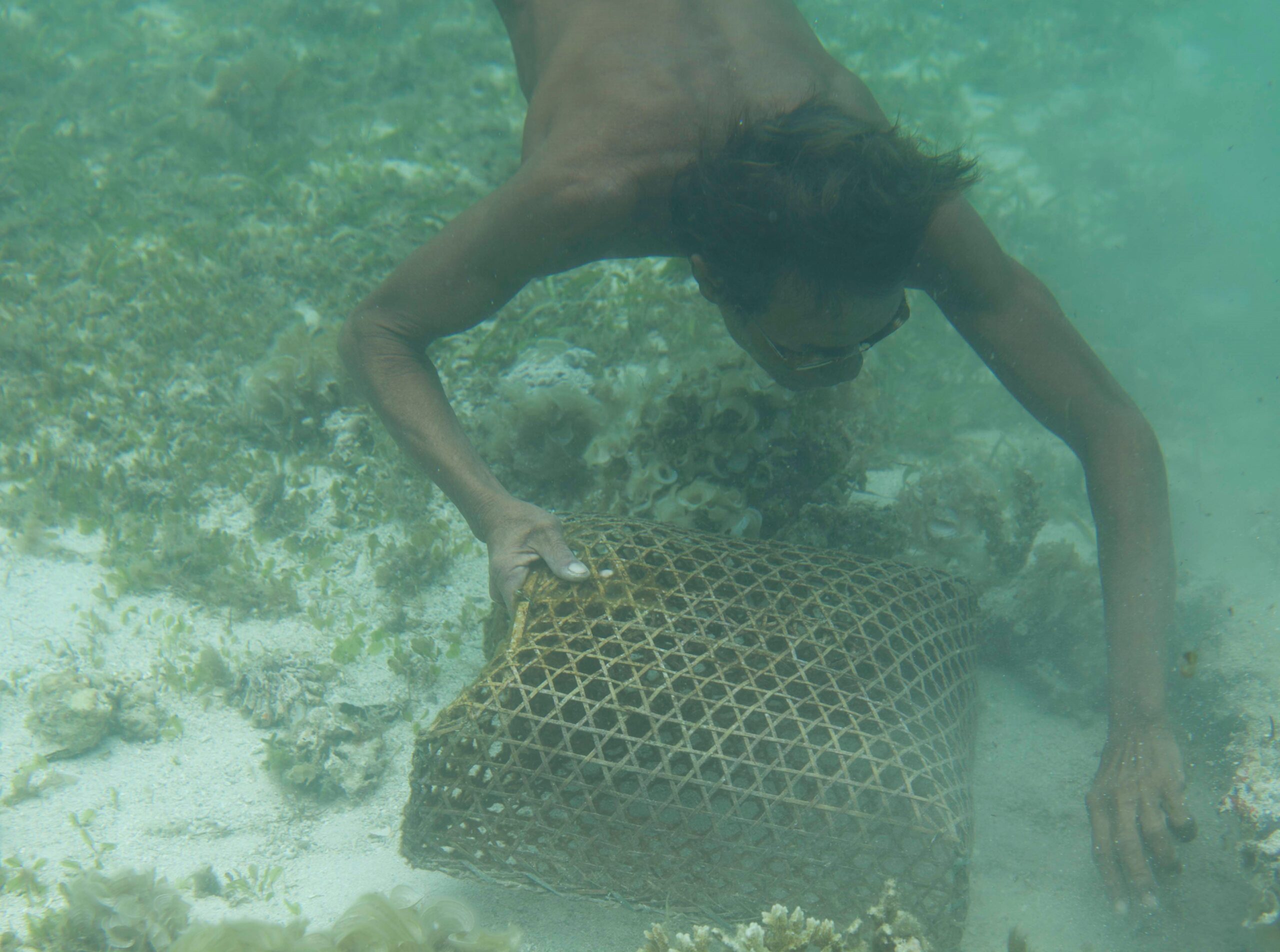 Philippinen, Tauchen, Tourismus