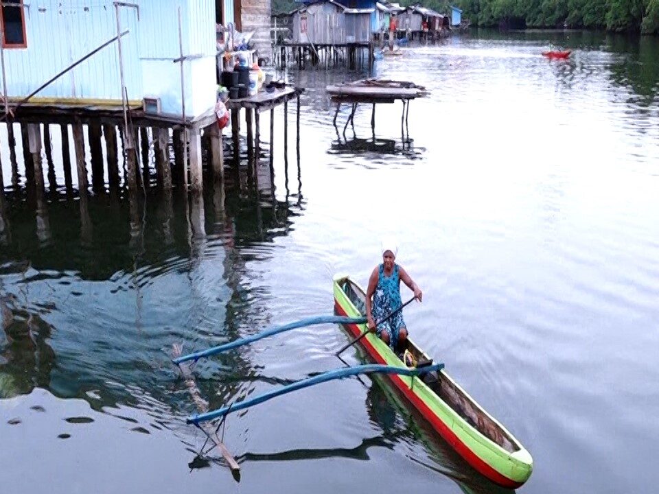 Film, Indonesien, Mangrovenwald