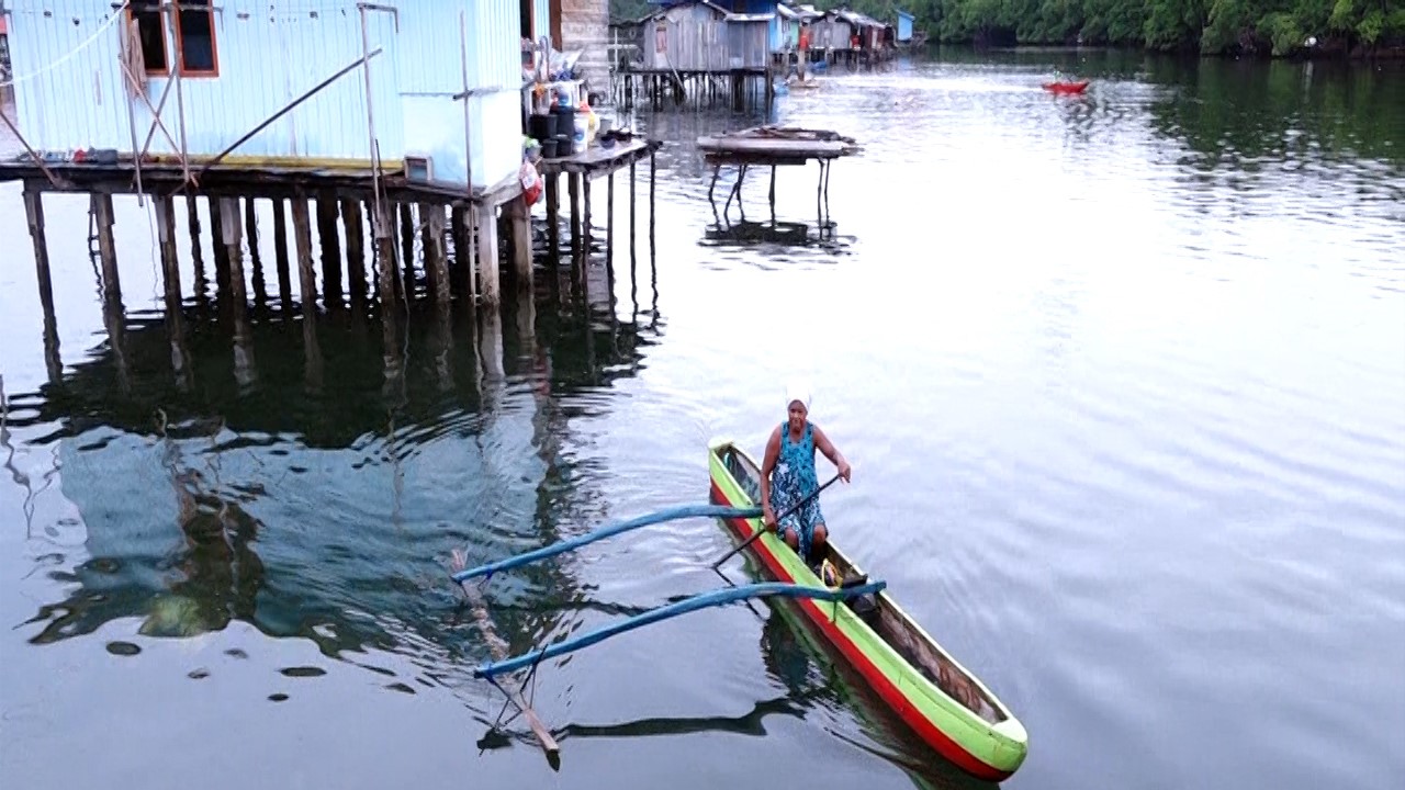 Film, Indonesien, Mangrovenwald