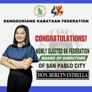 Philippinen, Wahlen Barangay