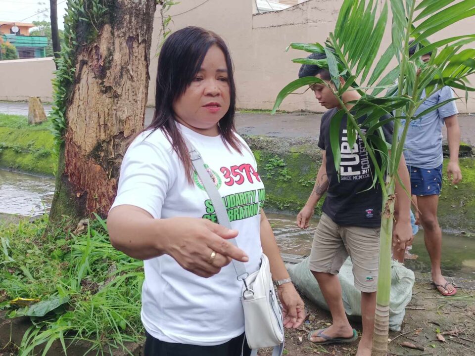 Philippinen, Barangay, Kommunalpolitik