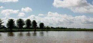 Vietnam, Mekong, Delta