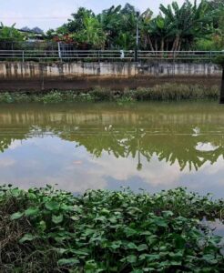 Vietnam, Mekong, Delta