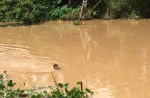 Vietnam, Mekong, Delta