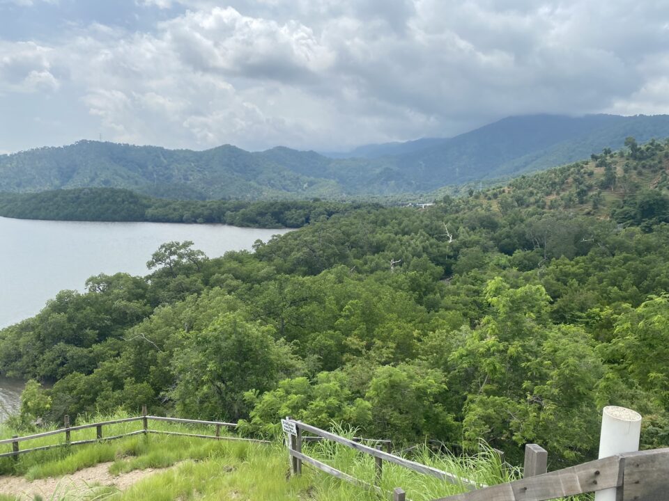 Timor Leste, Mangroven, Klimaschutz