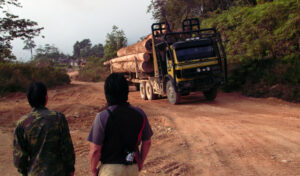 Malaysia, Regenwälder, Indigene