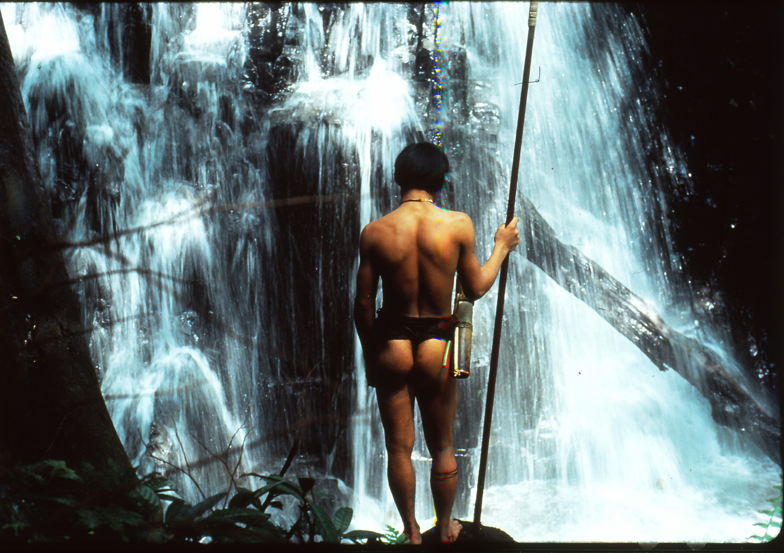 Malaysia, Regenwälder, Indigene