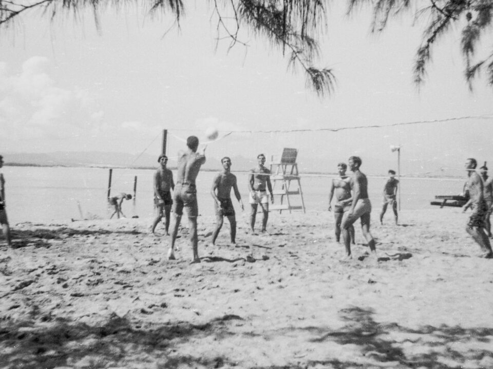 Vietnam, Rezension, Amerasier