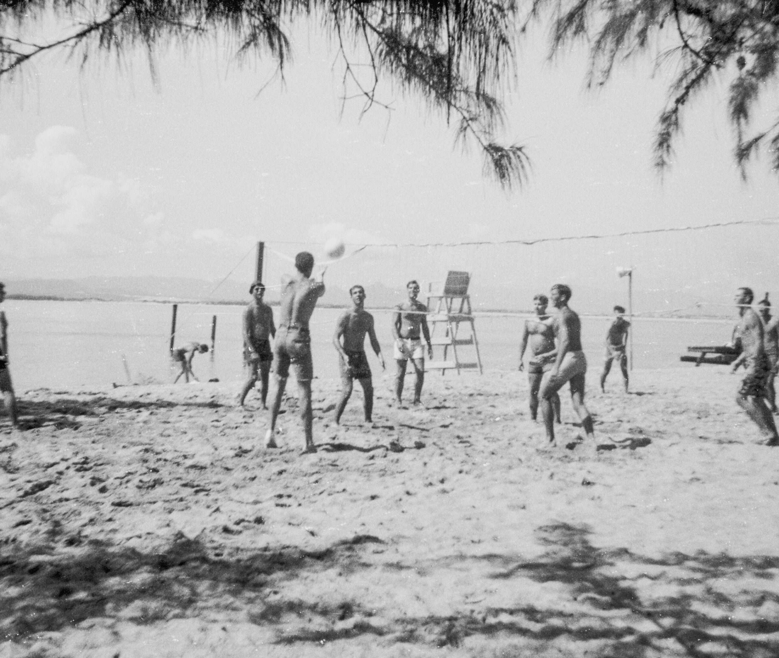 Vietnam, Rezension, Amerasier