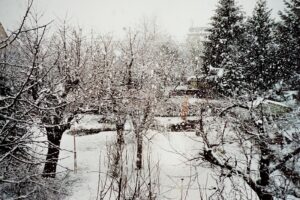 Deutschland, Malaysia, Migration