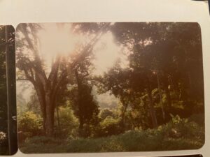 Deutschland, Malaysia, Migration