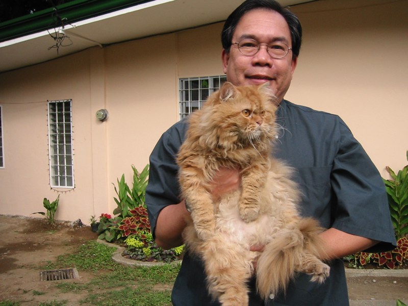 Philippinen, Buchmesse, Pressestimmen