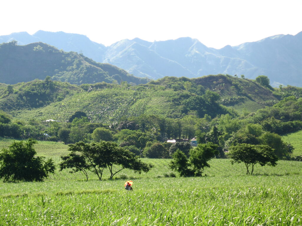 Philippinen, Sonderausgabe Buchmesse, Kommunisten