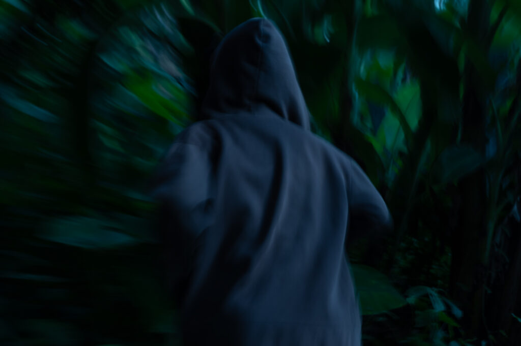 Myanmar, Revolution, Trans