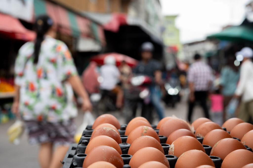 Myanmar, Revolution, Trans