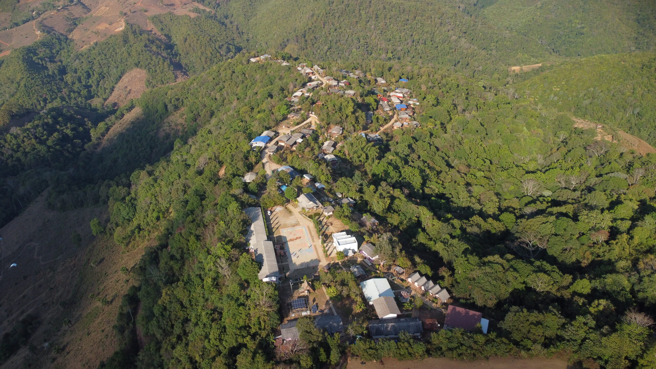 Thailand, Natur, Indigene