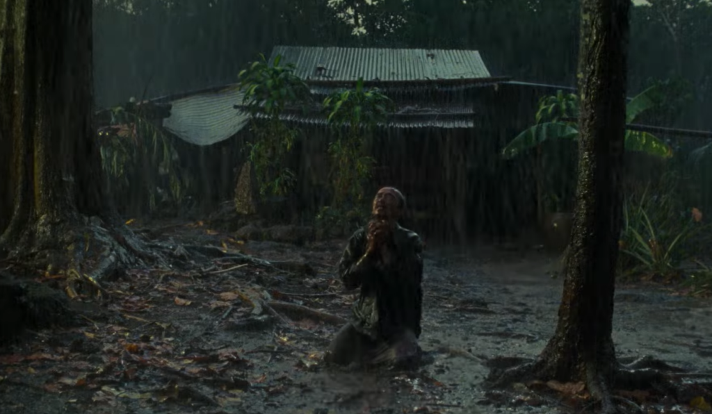 Vietnam, Rezension, Männlichkeit