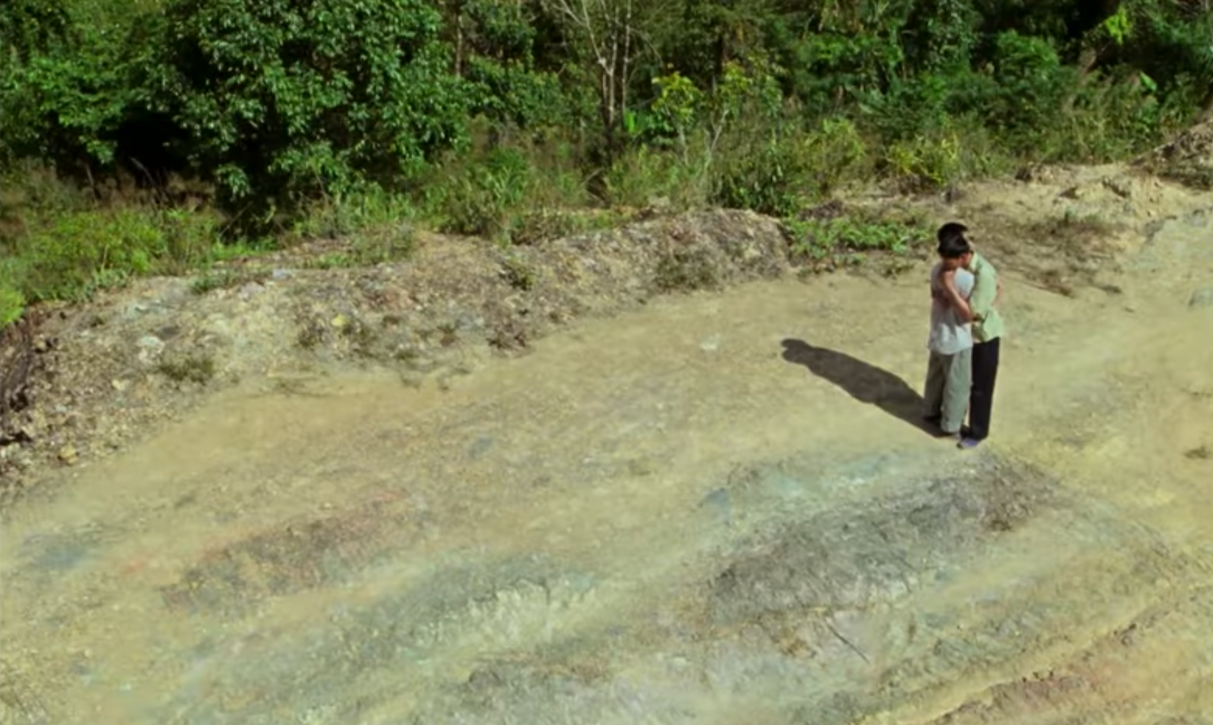 Vietnam, Rezension, Männlichkeit